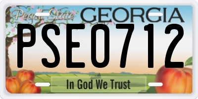 GA license plate PSE0712
