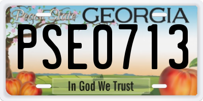 GA license plate PSE0713
