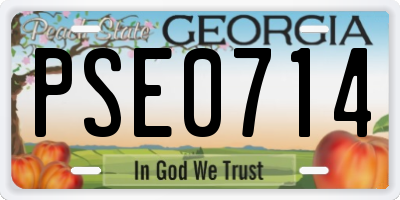 GA license plate PSE0714