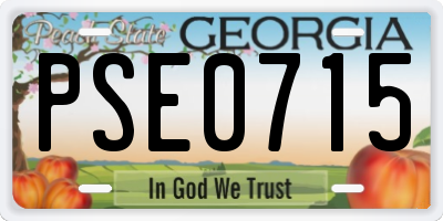 GA license plate PSE0715