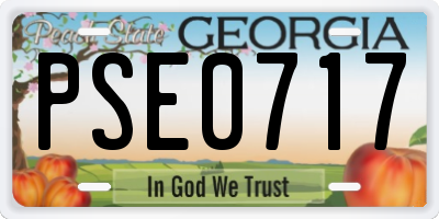 GA license plate PSE0717