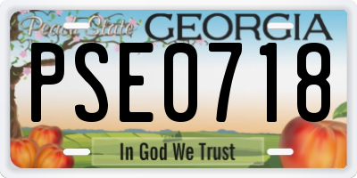 GA license plate PSE0718