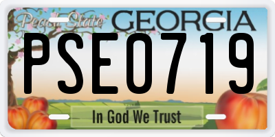 GA license plate PSE0719