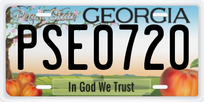 GA license plate PSE0720