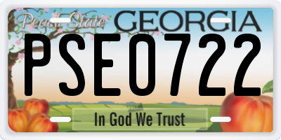 GA license plate PSE0722