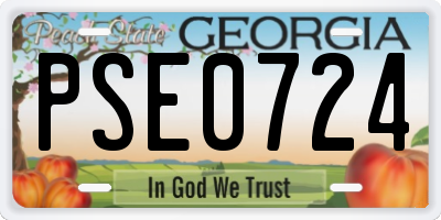 GA license plate PSE0724