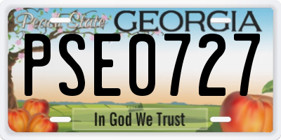 GA license plate PSE0727