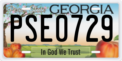 GA license plate PSE0729