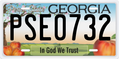 GA license plate PSE0732