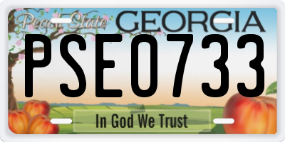 GA license plate PSE0733