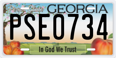 GA license plate PSE0734