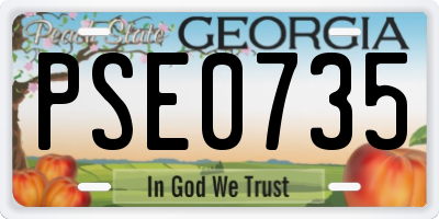 GA license plate PSE0735