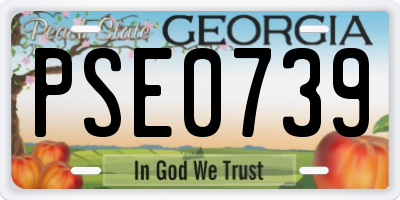 GA license plate PSE0739