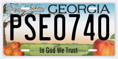 GA license plate PSE0740