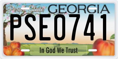 GA license plate PSE0741