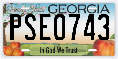 GA license plate PSE0743