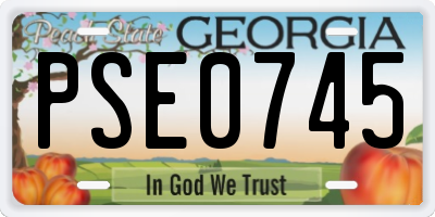 GA license plate PSE0745