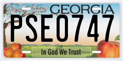GA license plate PSE0747