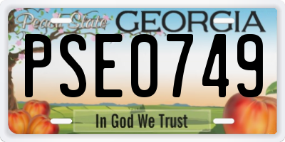 GA license plate PSE0749