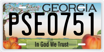 GA license plate PSE0751