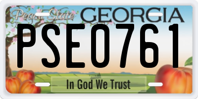 GA license plate PSE0761