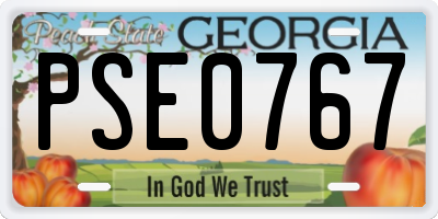 GA license plate PSE0767