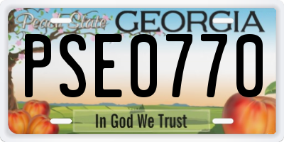 GA license plate PSE0770