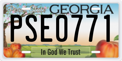 GA license plate PSE0771