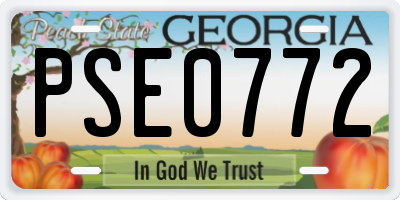 GA license plate PSE0772
