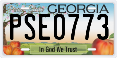 GA license plate PSE0773