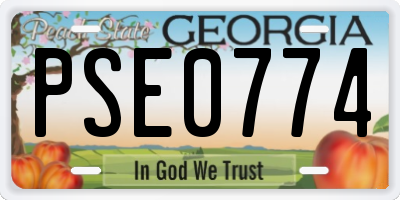 GA license plate PSE0774