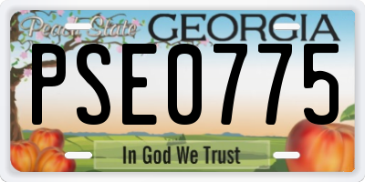 GA license plate PSE0775