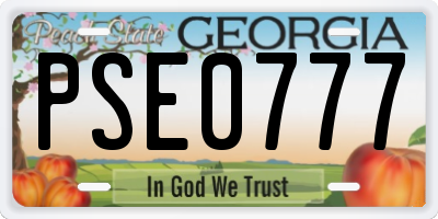 GA license plate PSE0777
