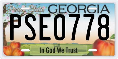 GA license plate PSE0778