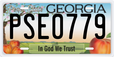 GA license plate PSE0779