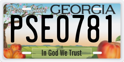GA license plate PSE0781
