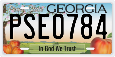 GA license plate PSE0784