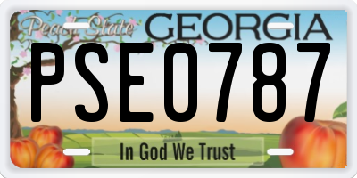 GA license plate PSE0787