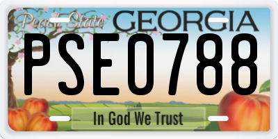 GA license plate PSE0788