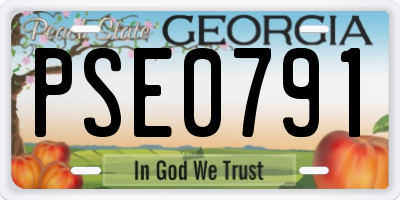GA license plate PSE0791