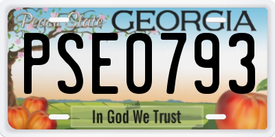 GA license plate PSE0793