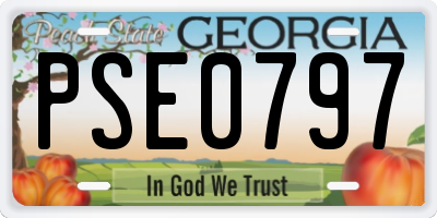 GA license plate PSE0797