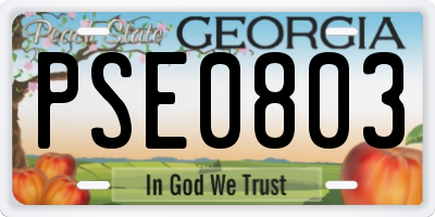 GA license plate PSE0803