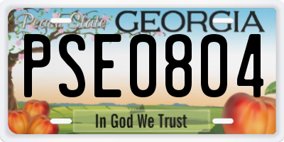GA license plate PSE0804
