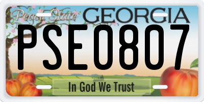 GA license plate PSE0807