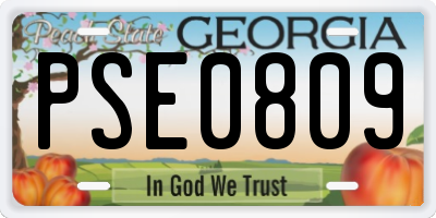 GA license plate PSE0809