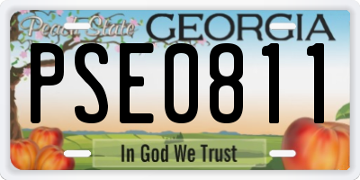 GA license plate PSE0811