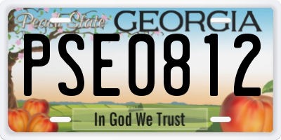 GA license plate PSE0812