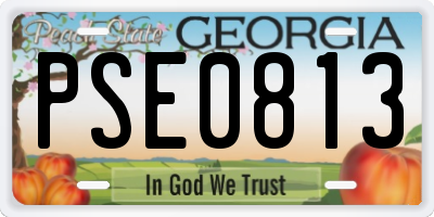 GA license plate PSE0813