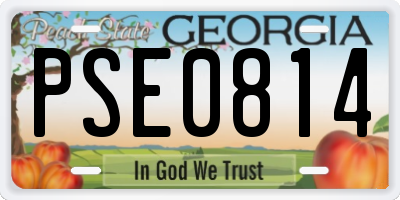 GA license plate PSE0814